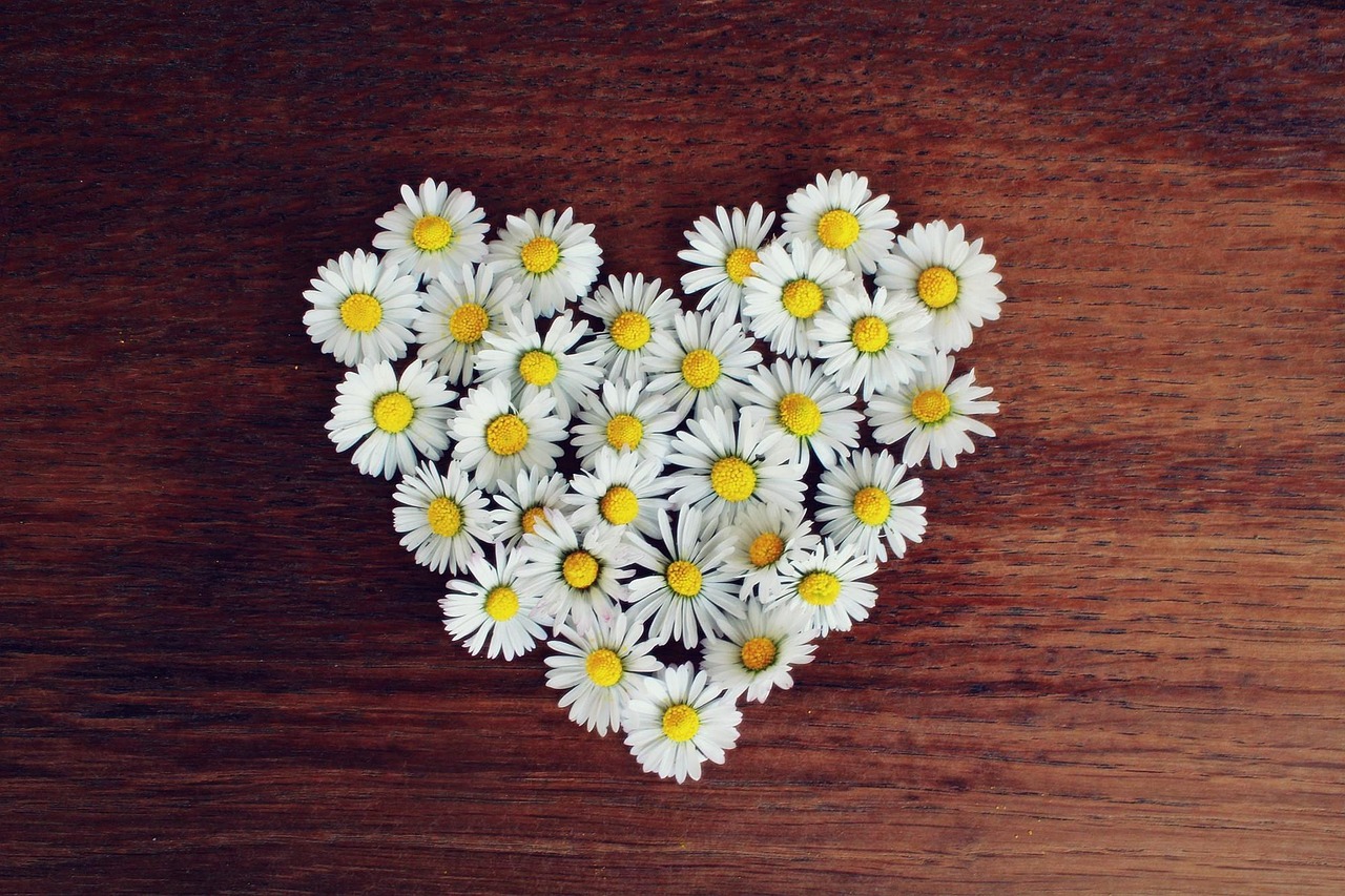 Amor verdadeiro: O que é e como reconhecer esse sentimento