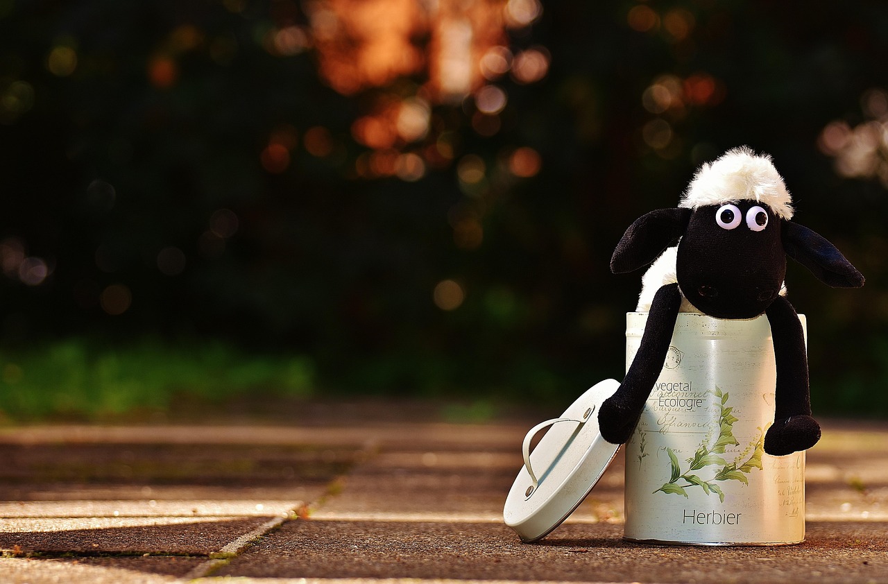 Energético sem açúcar: Os melhores e seus impactos na saúde