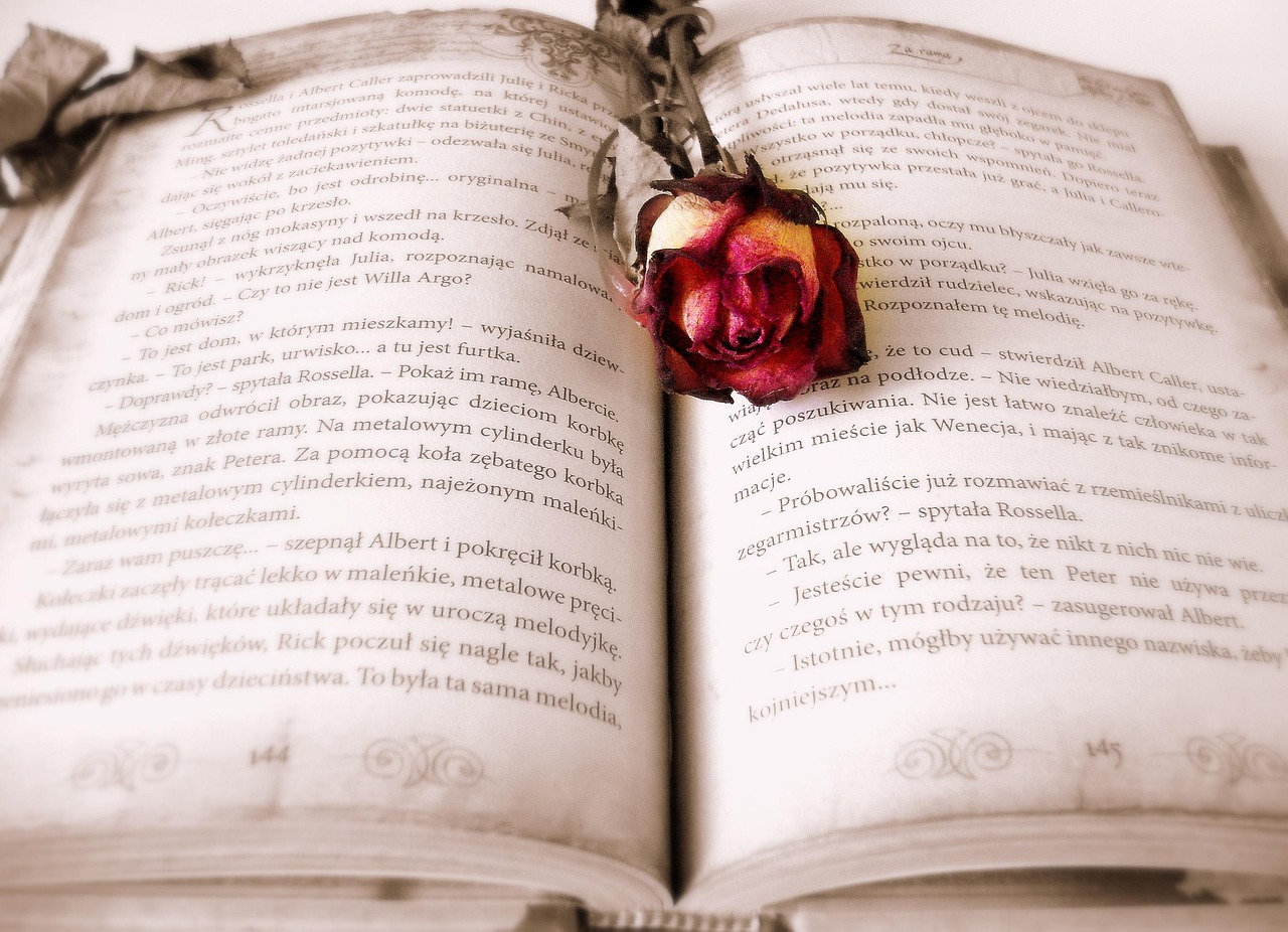 Grupos de livros no Telegram: 5 opções para amantes da leitura
