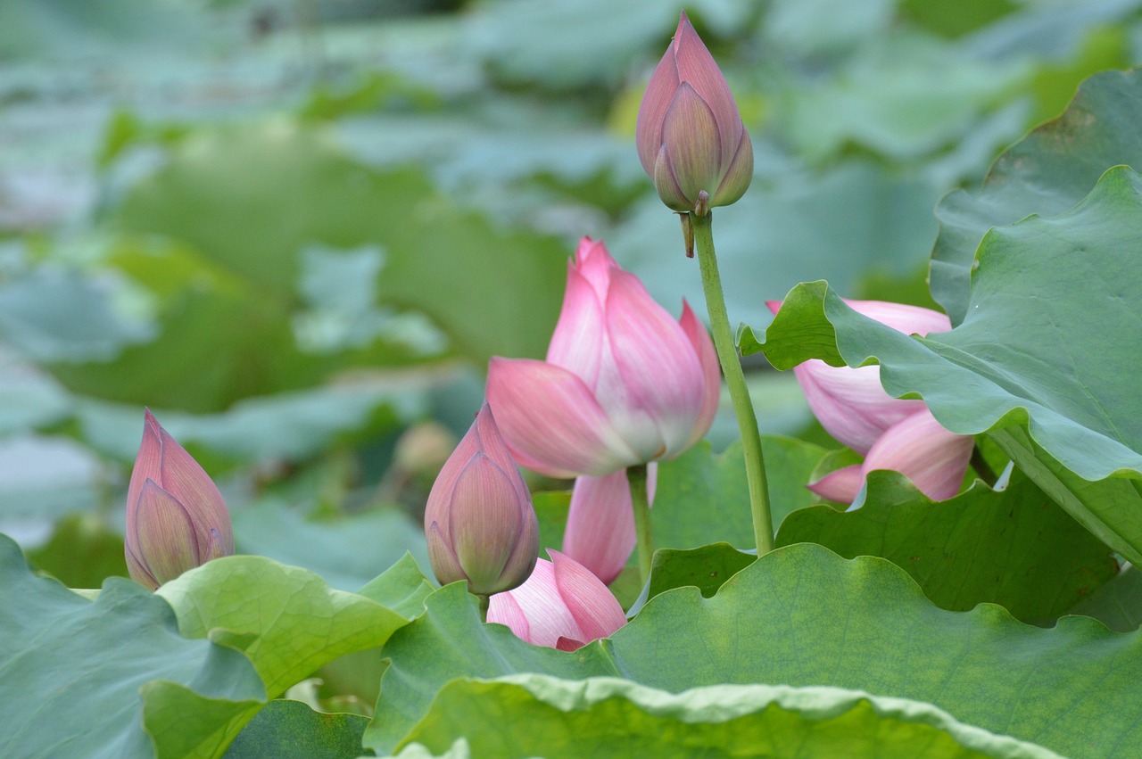 Sonhar que está fugindo de alguém: 5 significados reveladores