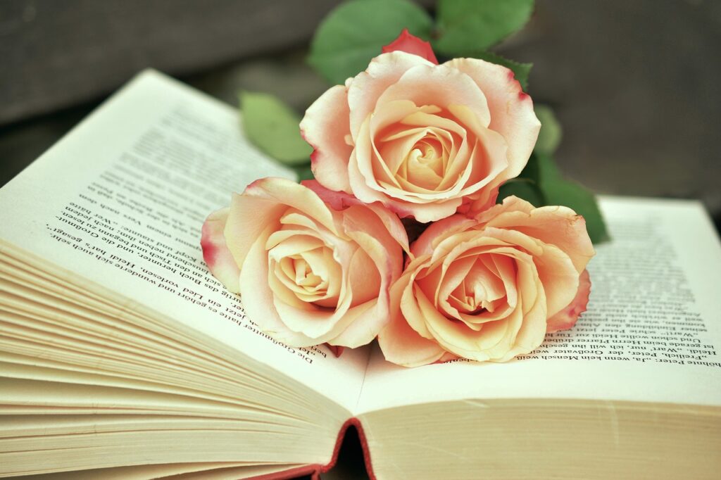 Grupos de livros no Telegram: 5 opções para amantes da leitura