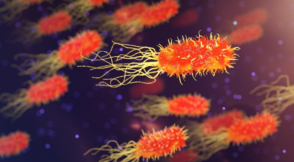 Quem inventou o microscópio? A história por trás da invenção
